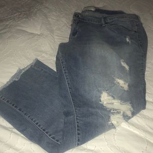 Torrid Denim Jeans